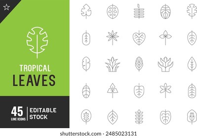 Tropical leaves editable line icon Set. black palm leaf Vector illustration.	
