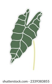 Tropical leaves Elements. Hand-drawn vector illustration. Tropical leaves and abstract exotic plan vector design elements on the white background.