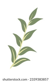 Tropical leaves Elements. Hand-drawn vector illustration. Tropical leaves and abstract exotic plan vector design elements on the white background.