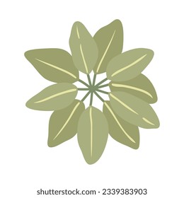 Tropical leaves Elements. Hand-drawn vector illustration. Tropical leaves and abstract exotic plan vector design elements on the white background.