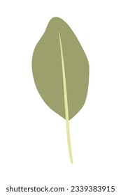 Tropical leaves Elements. Hand-drawn vector illustration. Tropical leaves and abstract exotic plan vector design elements on the white background.