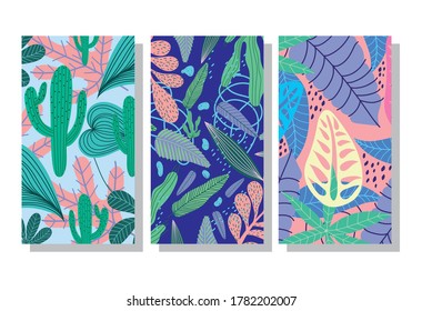 tropical leaves exotic botanical floral cactus foliage banner or cover template vector illustration