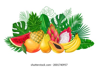 Tropical leaves with exotic fruit banner. Jungle exotic leaf poster with outline areca palm, monstera leaves, pitaya, papaya, pineapple, banana, mango and watermelon.