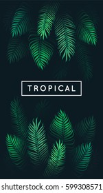 Tropical Leaves. Exotic Tree Foliage. Green Palm Tree Vector Leaf And Text On Black Background. Jungle Theme Design Template For Banner Or Poster. Vintage Style Frame. EPS 10.