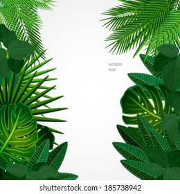 Tropical leaves. Floral design background.