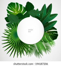 Tropical leaves. Floral design background.