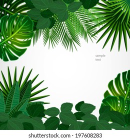 Tropical leaves. Floral design background.