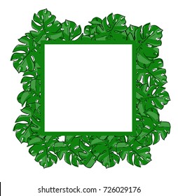 Tropical leaves. Floral design background.
