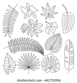 Tropical leaves, floral elements, outline icons. Different types of leaves of tropical plants. Leaves of palm, fern, monstera, hibiscus. Trendy Vector Illustration isolated for graphic and web design
