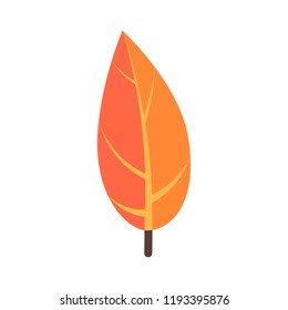 Tropical leaves floral icon. Autumn wood and exotic leaf decoration for botanical background.