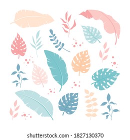 Tropical leaves and floral vector elements set, simple and trendy with flat style
