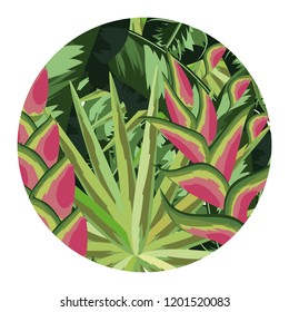 Tropical leaves and flowers
