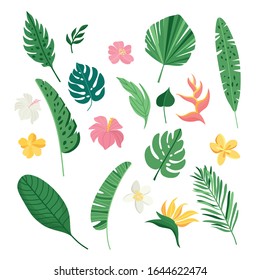 Tropical leaves and flowers collection. Vector summer illustration. Greenery, palm leaves, banana leaf, hibiscus, plumeria flowers.