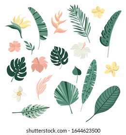 Tropical leaves and flowers collection. Vector summer illustration. Greenery, palm leaves, banana leaf, hibiscus, plumeria flowers.