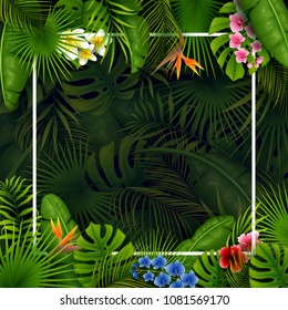 Tropical leaves and flowers with empty frame square on dark background