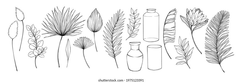 Tropical leaves and flowers. Hand drawn linear vector illustrations. Protea exotic flower, palm leaves, dry leaves, eucalyptus, vase. Monoline drawings. Perfect for your designs, cards, posters.