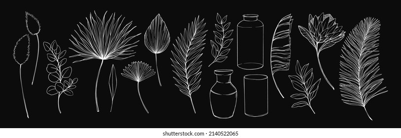 Tropical Leaves And Flowers. Hand Drawn Linear Vector Illustrations. Protea Exotic Flower, Palm Leaves, Dry Leaves, Eucalyptus, Vase. Monoline Drawings. Perfect For Your Designs, Cards, Posters