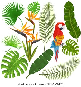 Tropical leaves, flowers and macaw vector illustration