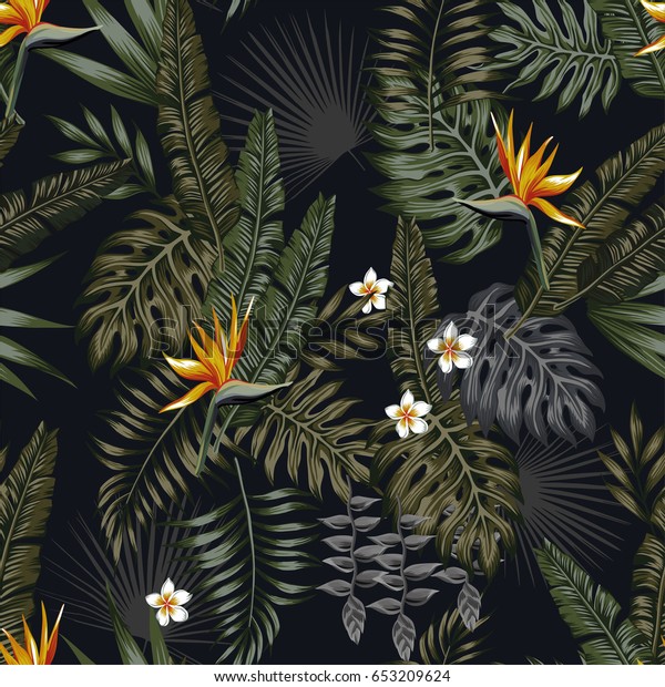 男性用の夜型の熱帯の葉と花 黒い背景にシームレスなベクタージャングルの壁紙 のベクター画像素材 ロイヤリティフリー