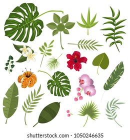 Tropical leaves and flowers. Set isolated palm leaf exotic plant floral hawaii botany decoration botanical foliage tree monstera banana flora. Vector illustration forest collection tropic.