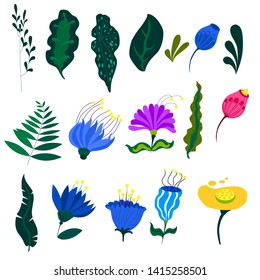 tropical leaves and flowers set isolated on white background vector