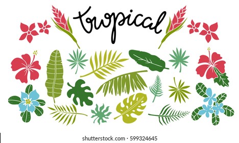 Tropical Leaves, Flowers Set. Plants Isolated On White Background