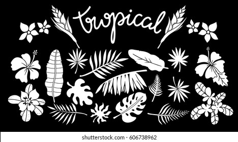 Tropical leaves, flowers set. Plants isolated on black background