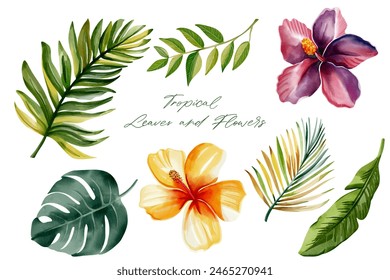 Tropical leaves and flowers. Set of watercolor exotic leaves. Palm leaves. Hand drawn floral illustration. 