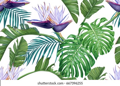 Tropical leaves and flowers of Strelitzia Nicolai. Seamless vector pattern.