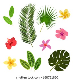 Tropical leaves and flowers, summer elements for your design, banner, flyer, poster, etc.