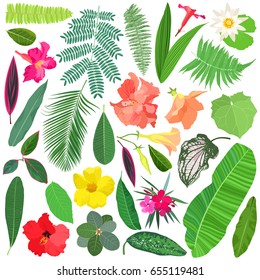 Tropical leaves and flowers vector set