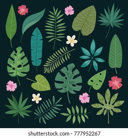 Tropical leaves flowers vector tropic hibiscus flowering plant and leaf foliage palm or banana tree in jungle exotic monstera and fern in summer isolated on background illustration