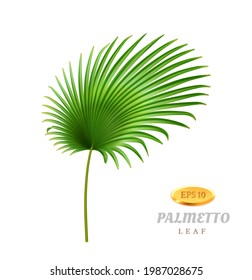 Tropical leaves and foliage, isolated exotic plant. Palmetto with wide leafage and fleshy stem. Hawaiian decoration, rainforest or jungle. Growth and blooming herb. Realistic 3d cartoon vector