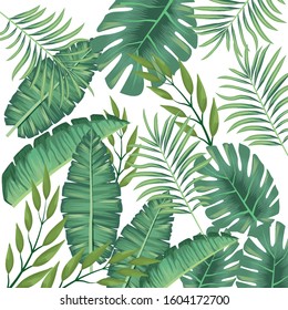tropical leaves foliage pattern background vector illustration design