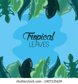tropical leaves foliage spot blue background vector illustration