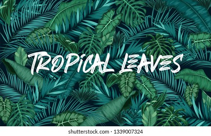 Tropical leaves forest background