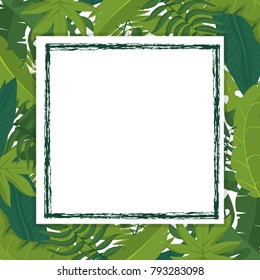 Tropical leaves frame