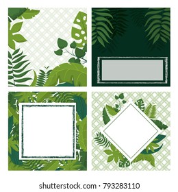 Tropical leaves frame