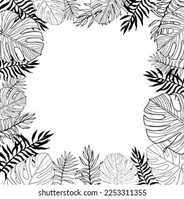 Tropical leaves frame boarder. Monstera and palm leaf, line art vector illustration for invite or card 