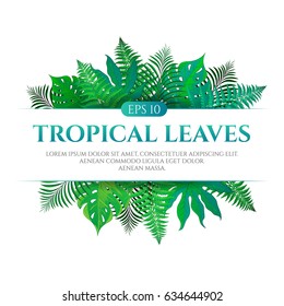 Tropical leaves frame design with place for text isolated on white background. Vector illustration in hand drawn cartoon style. Can be used for design your website or print publications and other.