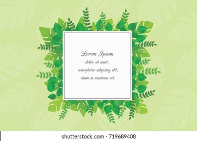 Tropical Leaves Frame, Floral  Background Vector Design