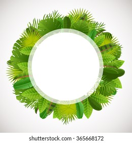 Tropical leaves frame. Floral jungle design background. Palm, banana, frangipany, monstera, strelitzia leaves.