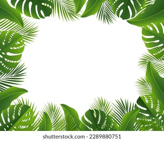 Tropical Leaves Frame Isolated White Background , Vector Illustration
