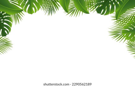 Tropical Leaves And Frame Isolated White Background , Vector Illustration