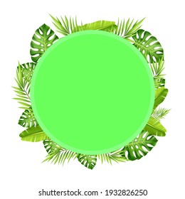 Tropical leaves frame on white background, vector illustration