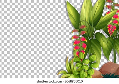 Tropical leaves frame template on transparent background illustration