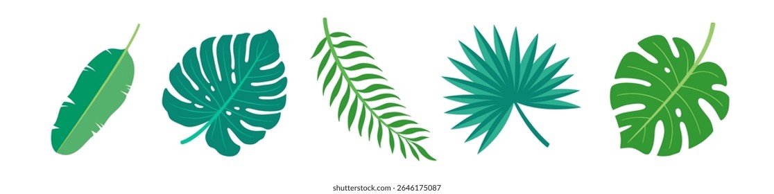 Tropical leaves fresh green palm foliage. Banana leaf, monstera and fan palm branch. Exotic plant element flat design repeatable vector border. Simple cartoon illustration for summer decoration.