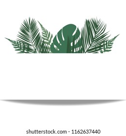 Tropical leaves frond frame vector illustration. Border green plant leaves decoration on white background. Detailed bracken fern drawing, palm leaves, monstera, tropical forest herbs, card border.