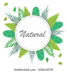 Tropical leaves garden and circle banner vector