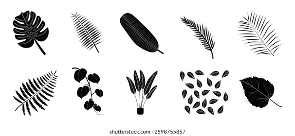 Tropical leaves glyph vector set illustration